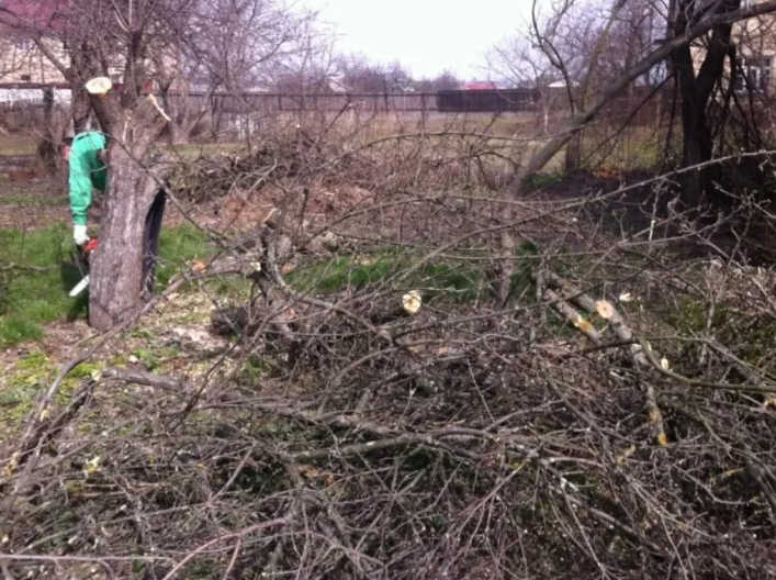 Уборка участков в Невинномысске